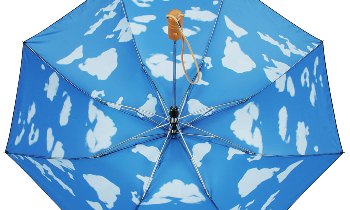 Clouds Umbrella Inside - Promotional Product 111798-1 from 4imprint