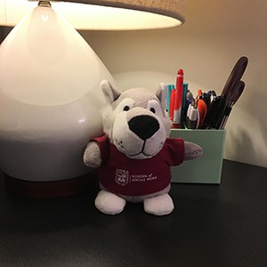 A wolf Bean Bag Buddy sitting on a desk with a lamp and pens in a holder. 