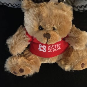 Teddy bear wearing T-shirt with Autism speaks logo.