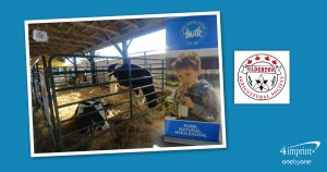 Photo collage of cows on display at a fair, a booth table and a logo.