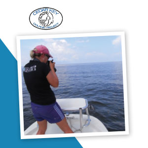 Person photographing a dolphin from a boat.