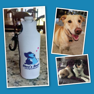 Photo collage of multiple pet dogs and a branded water bottle cover.
