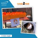 Photo collage of a guinea pig and a table filled with brightly colored orange gift bags.