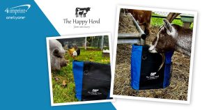 A goat, pig and branded bag in a farm setting.