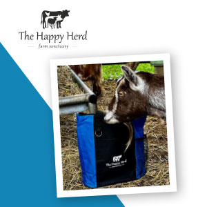 A goat and branded bag in a farm setting.