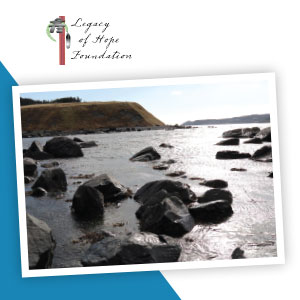 A rocky shoreline.