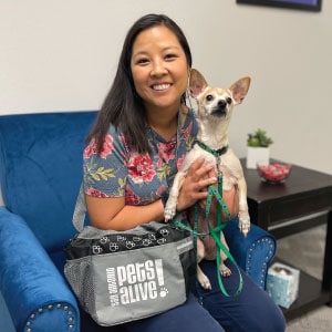 Smiling woman holding a chihuahua wearing a green collar and leash. A pet accessory bag is on her lap.