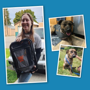 Collage showing woman holding a backpack cooler with a logo and dog with three legs.