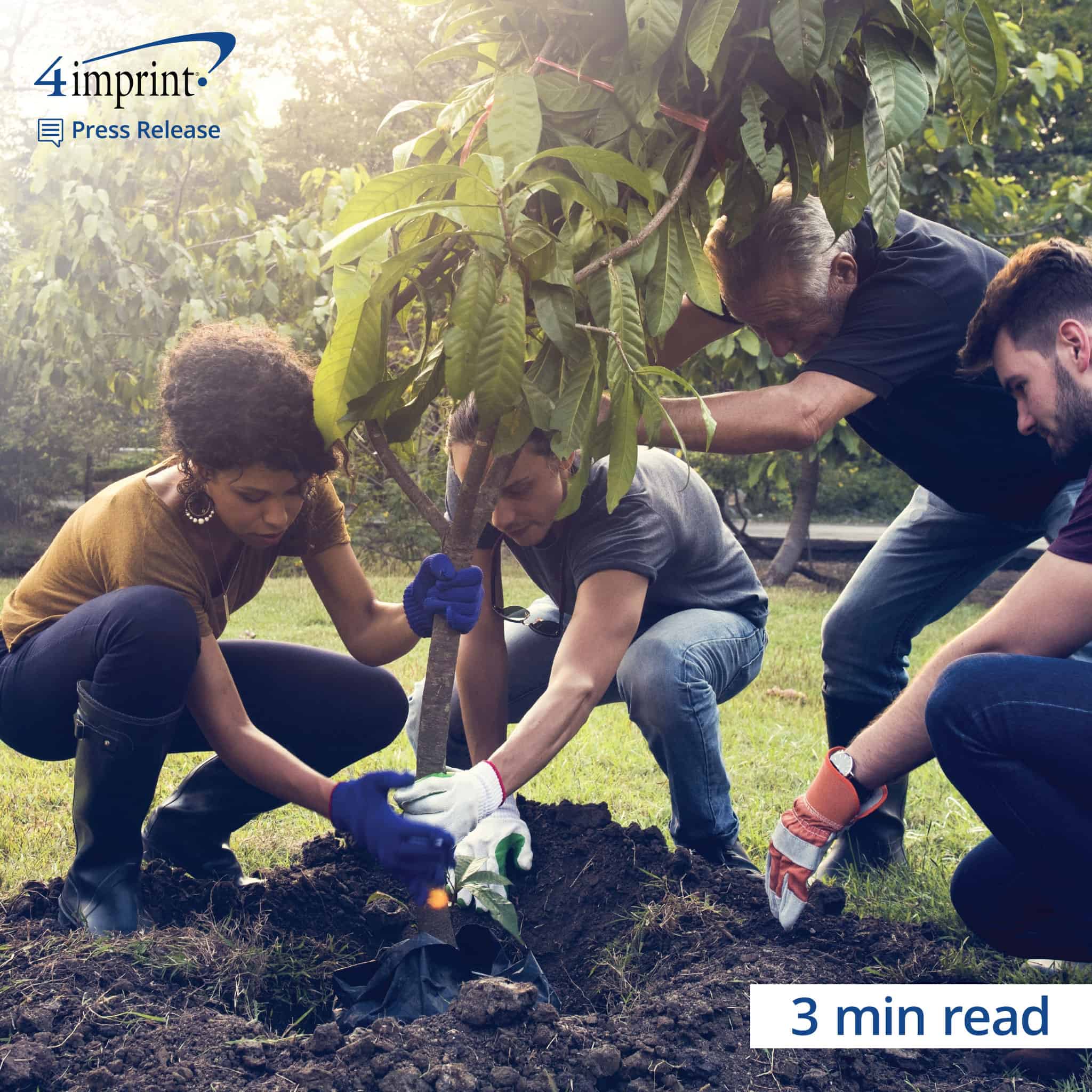 Group of employees planting a tree. 3 minute read.