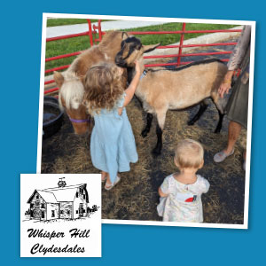 Children in a farm setting with a goat and a pony.
