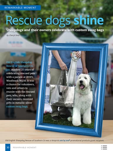 Remarkable Moment thumbnail: Rescue dogs shine