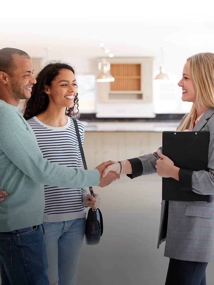 two people shaking hands with business consultant