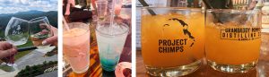 collage of different types of branded Project Chimp glasses