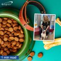 Photo collage of dog food bowl and dog and volunteer worker.