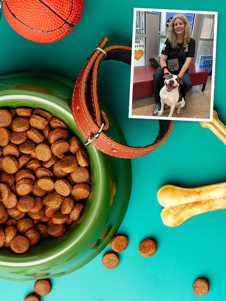 background collage of dog food bowl, toys and collar - photo in corner of adopted dog with new owner