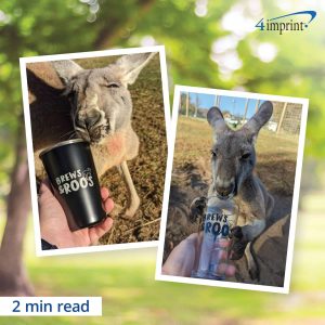 Kangaroos posing with pint glasses. The glasses have logos on them.