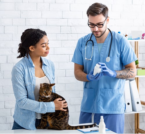 Pet owner speaking to a vet.