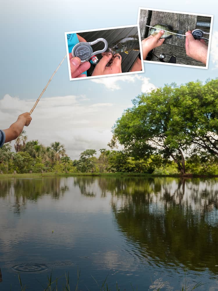 Two images of measuring a fish over a person fishing on a lake