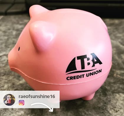 An Instagram post of a pig stress ball