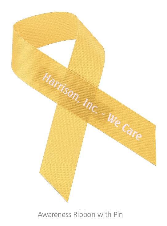 Awareness Ribbon with Pin