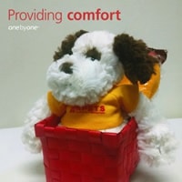 Black and white stuffed dog in a red box